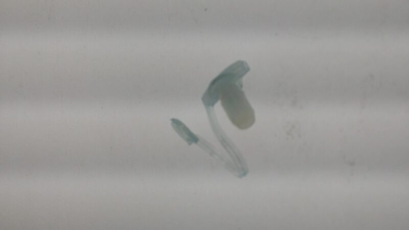 ICE-12S tulppa